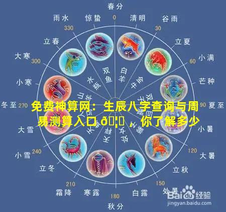 免费神算网：生辰八字查询与周易测算入口 🦅 ，你了解多少